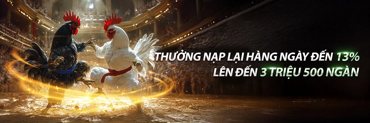 Sân đấu daga 65 trực tuyến tại GA65